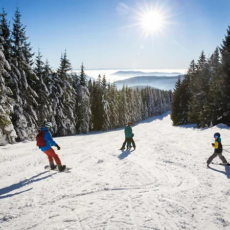 Tannenblick - 3 Schlafzimmer, Feldberg-falkau דירה