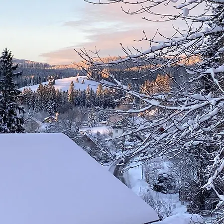 Tannenblick - 3 Schlafzimmer, Feldberg-falkau *
