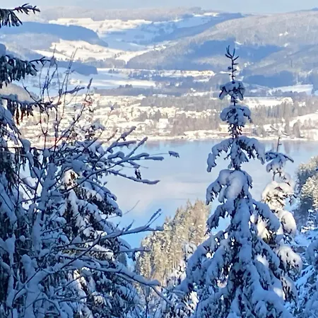 Tannenblick - 3 Schlafzimmer, Feldberg-falkau דירה