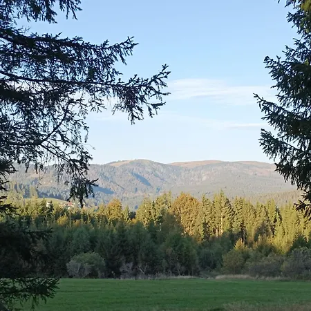 דירה Tannenblick - 3 Schlafzimmer, Feldberg-falkau