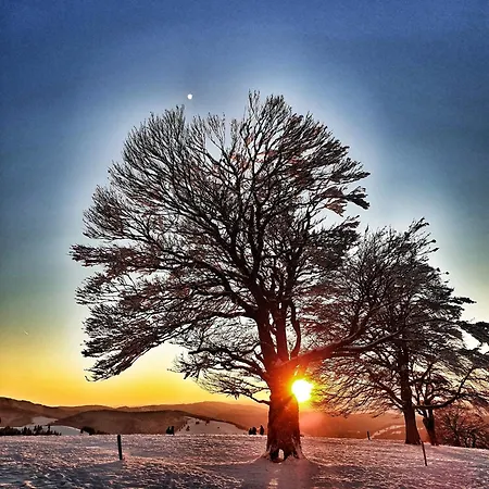 Tannenblick - 3 Schlafzimmer, Feldberg-falkau *