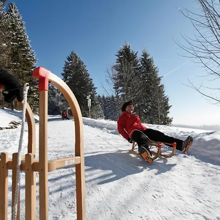 Tannenblick - 3 Schlafzimmer, Feldberg-falkau דירה *
